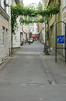 One of the narrow streets of Boppard.  I thought the grape vines growing across the street were interesting.